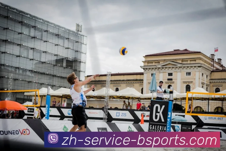 B体育平台生态图