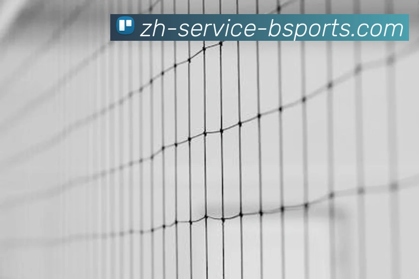 体育App 体育App